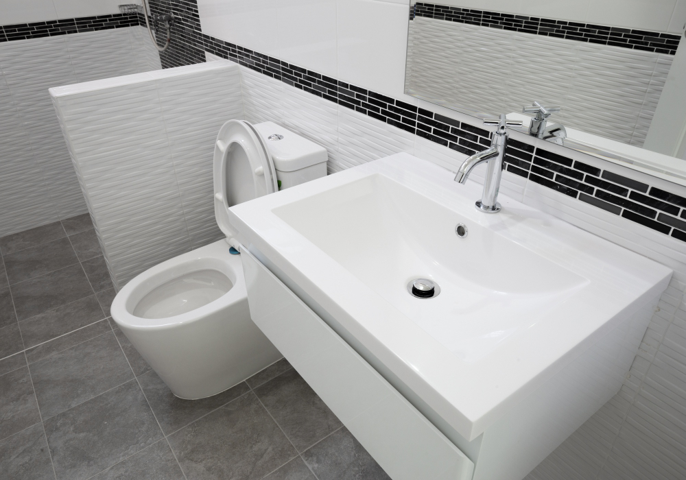 Sanitaire à Ménesplet